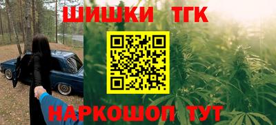 шишки Славгород