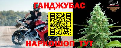 шишки Славгород