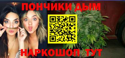 шишки Славгород